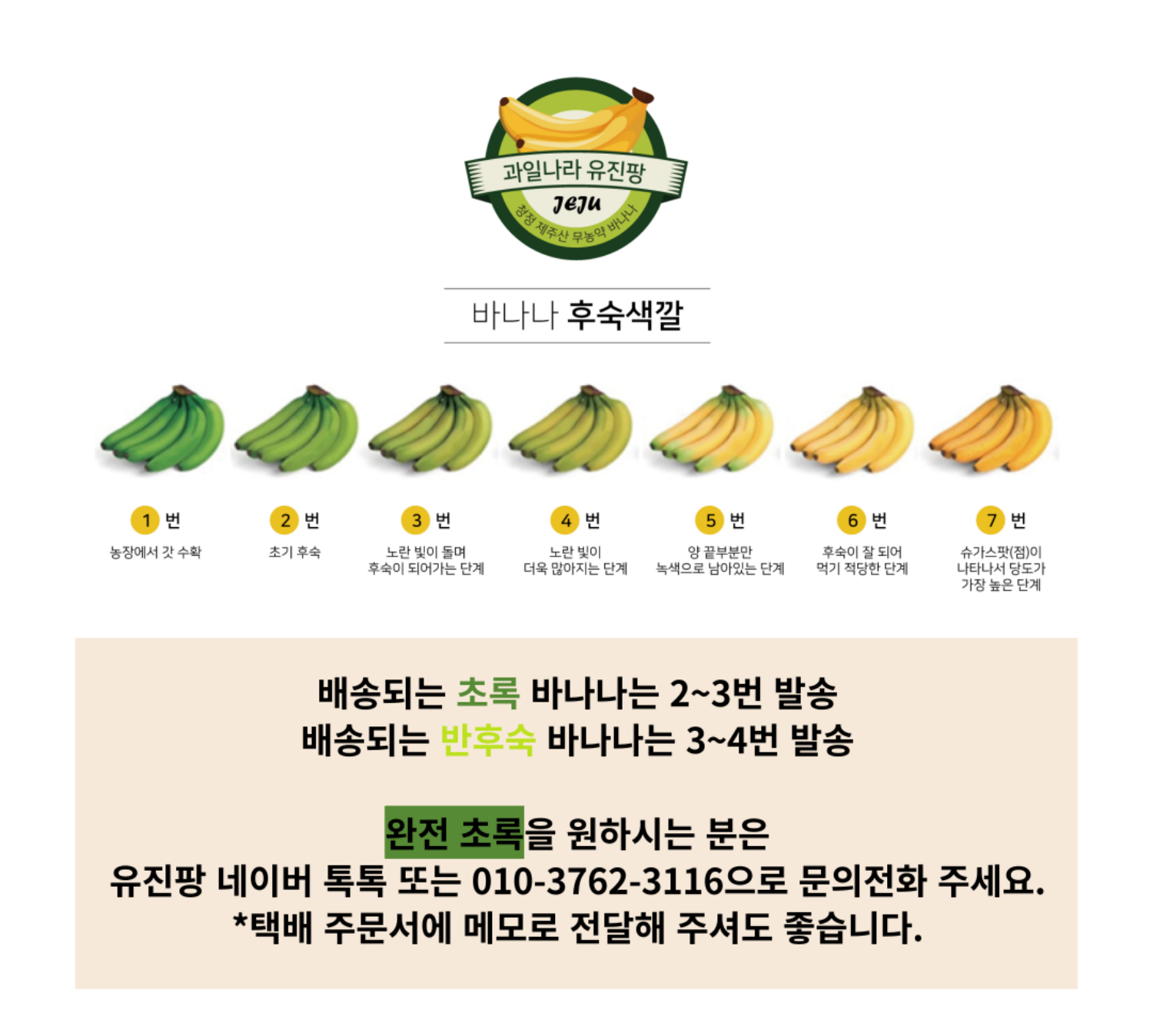 [유진팡] 제주 초록바나나1.5kg/2.5kg/5kg