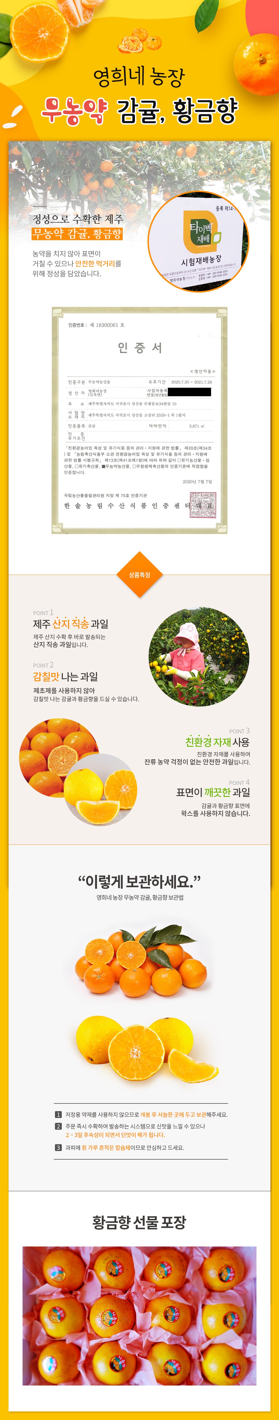 영희네농장 무농약인증 감귤 & 황금향