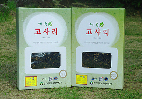 [농업기술명인] 제주 고사리 건채