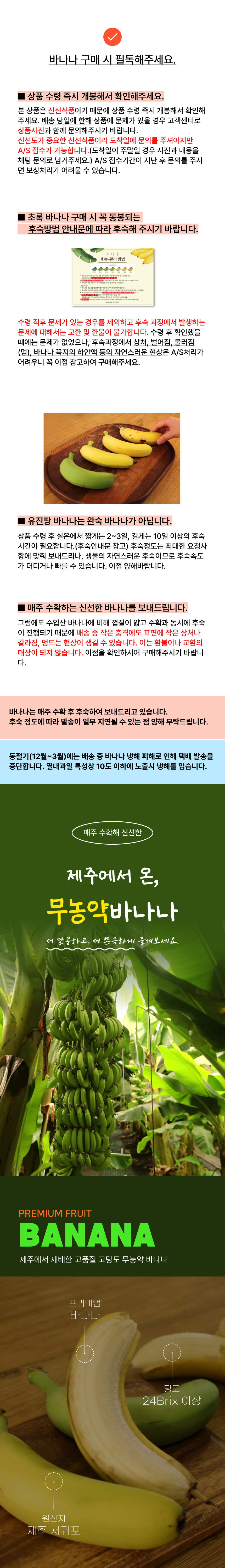 [유진팡]제주산 무농약 초록바나나