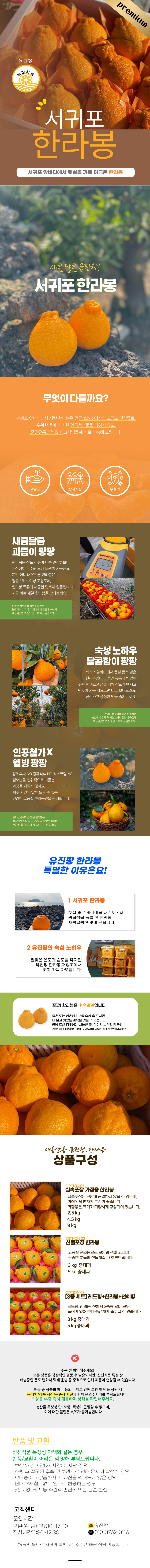 [유진팡] 제주 한라봉 2.5/4.5/9kg 가정용