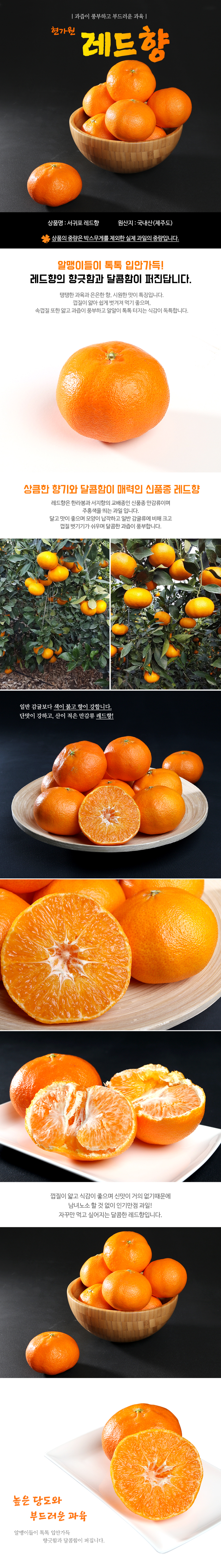 <현가원>레드향 가정용 3kg/5kg/10kg