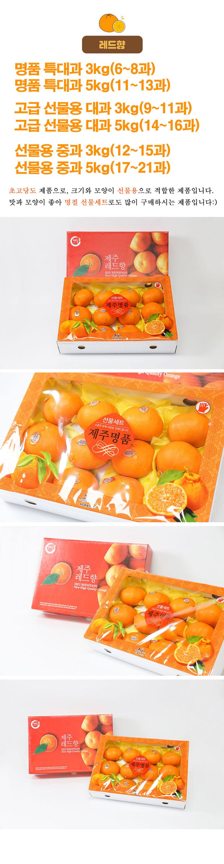 선물고팡 제주 초고당도 명품 레드향 3kg, 5kg