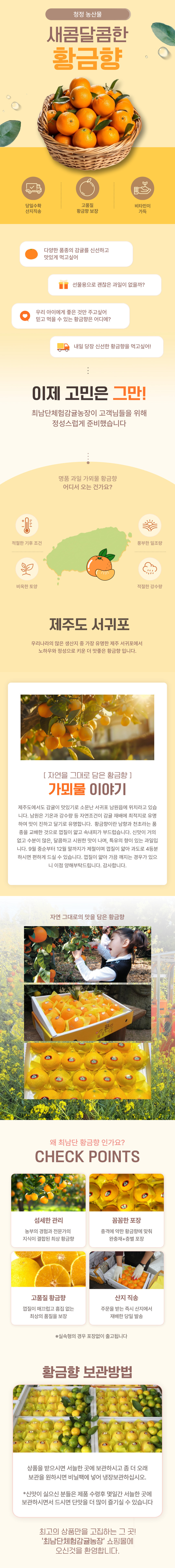 가뫼물 최남단농장 황금향 3kg 5kg 선물