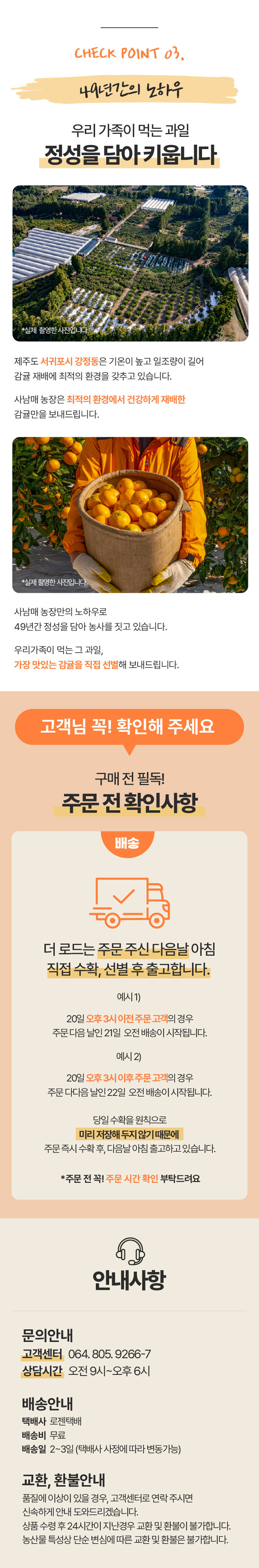 [로드제주]타이벡 감귤(14브릭스 보장 고당도)