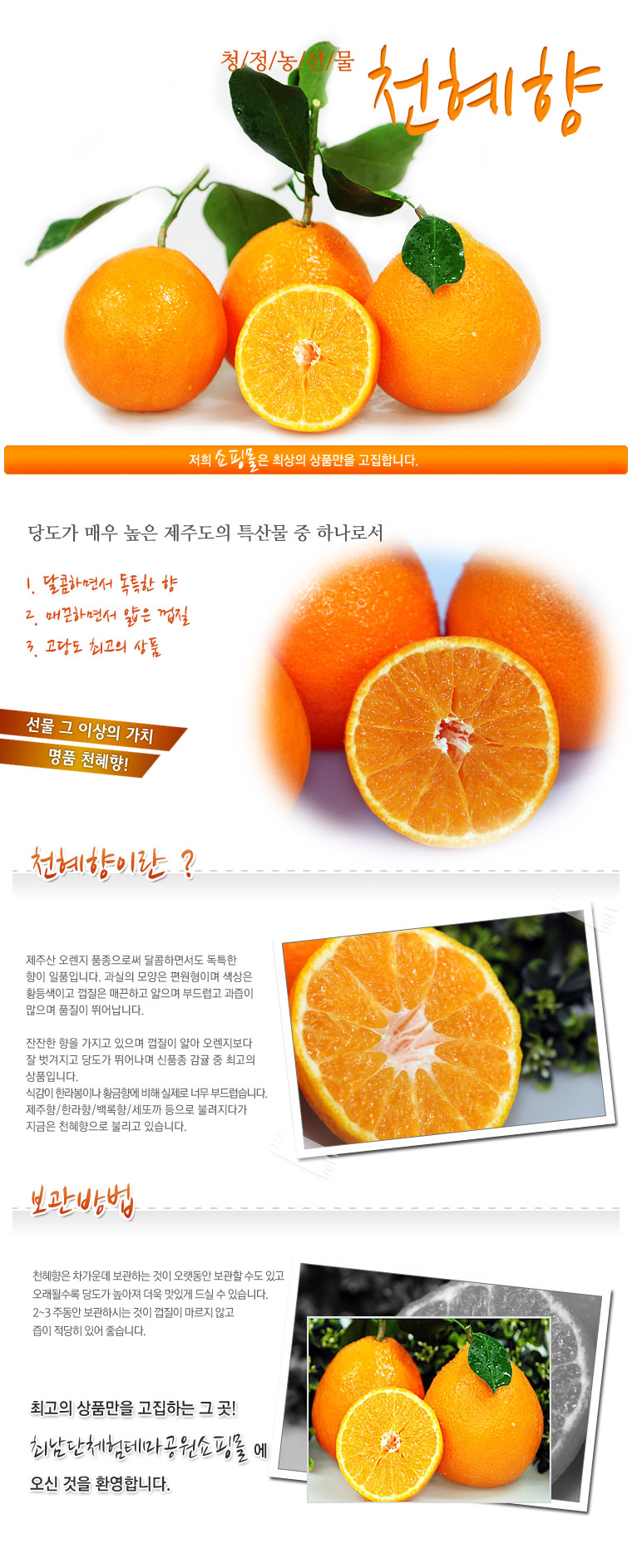 [최남단농장]가뫼물 천혜향 선물용 가정용 실속형