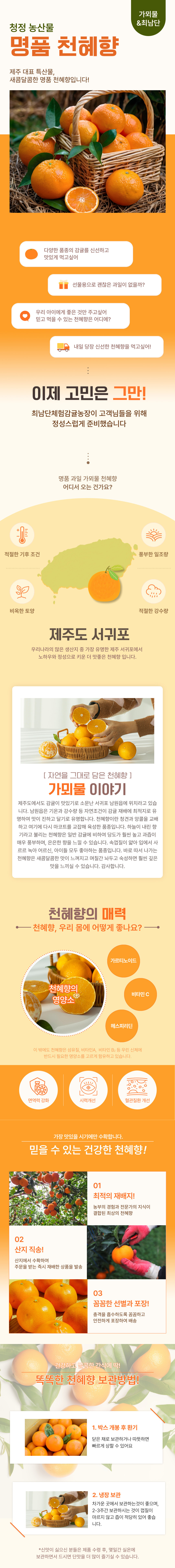 [최남단농장]가뫼물 천혜향 선물용 가정용 실속형