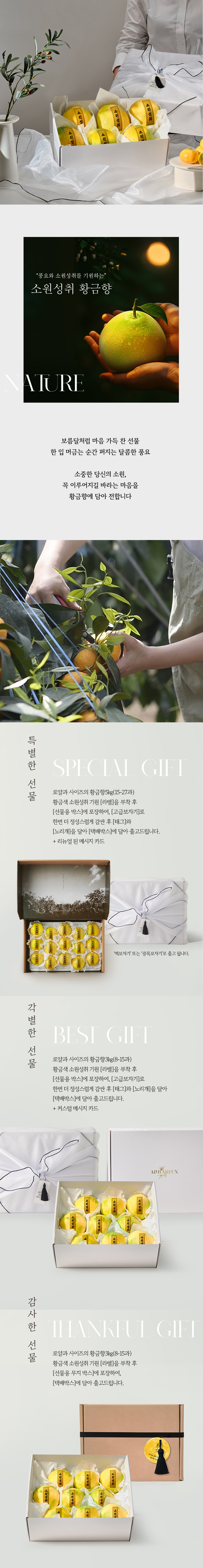 황금향 선물세트 3kg/5kg