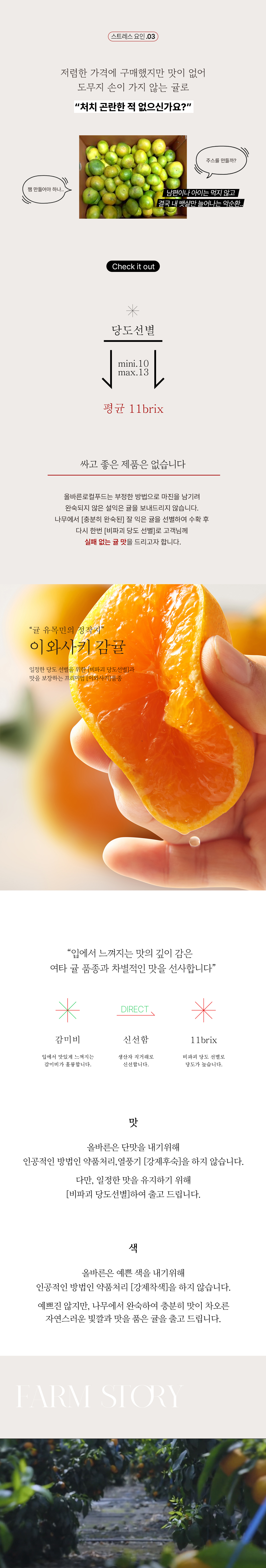 아삭한 식감 올바른 이와사키 노지귤 3kg/5kg