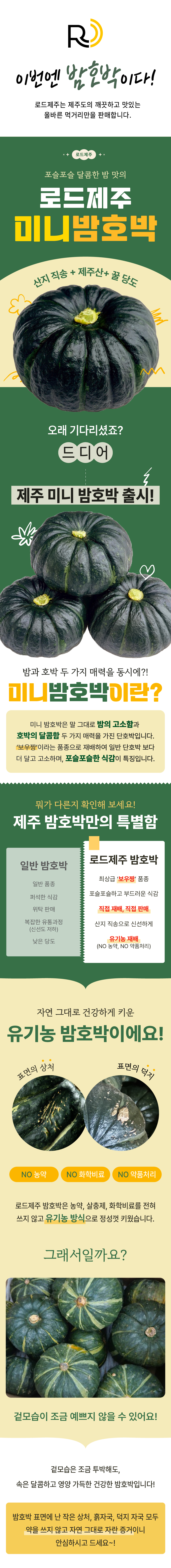 [로드제주] 제주 미니 밤단호박 3/5/10kg