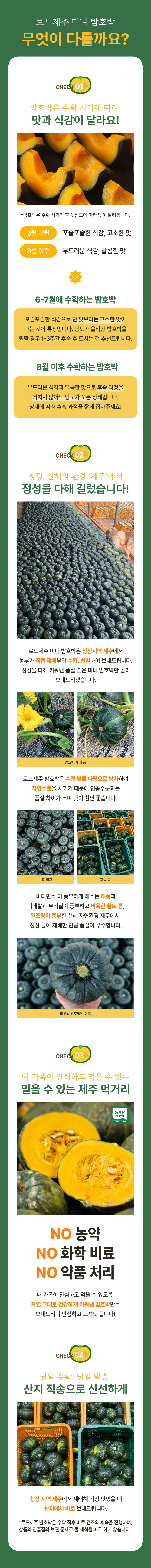 [로드제주] 제주 미니 밤단호박 3/5/10kg