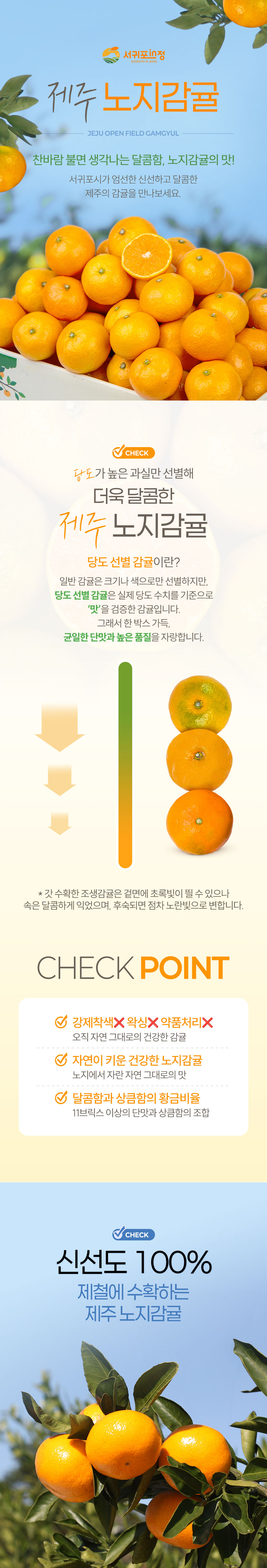 [당도선별] 제주 노지 조생감귤 2.5kg 4.5kg