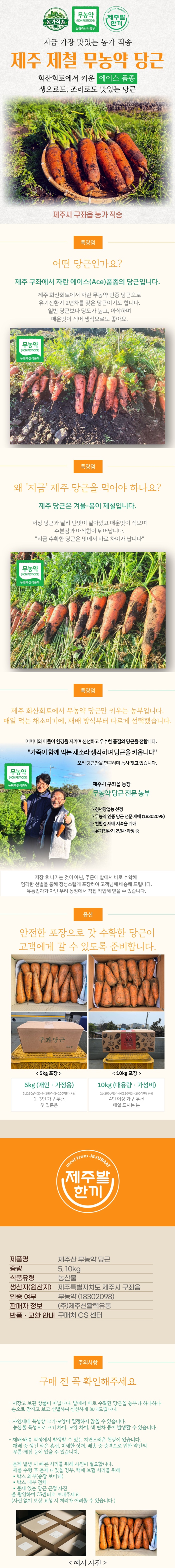 제주 제철 무농약 당근 농가직송 5kg·10kg