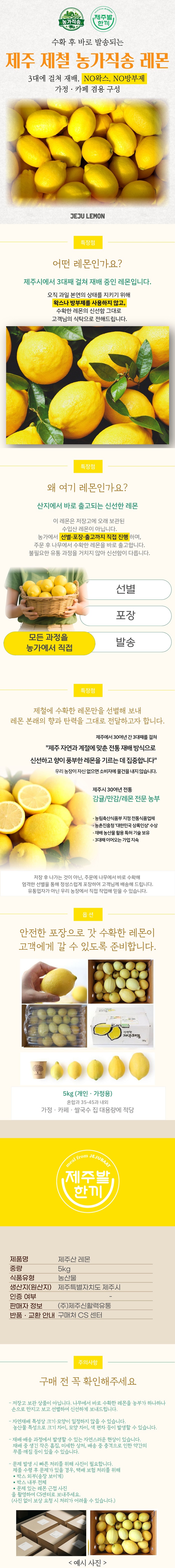 제주산 레몬 5kg 농가직송 제철한정