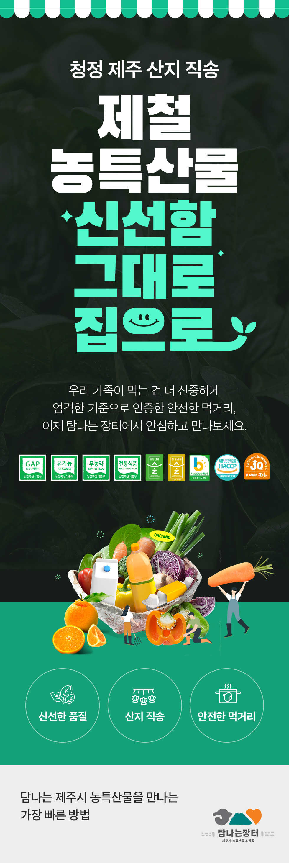 제주앤팜 차선물세트 기세트★