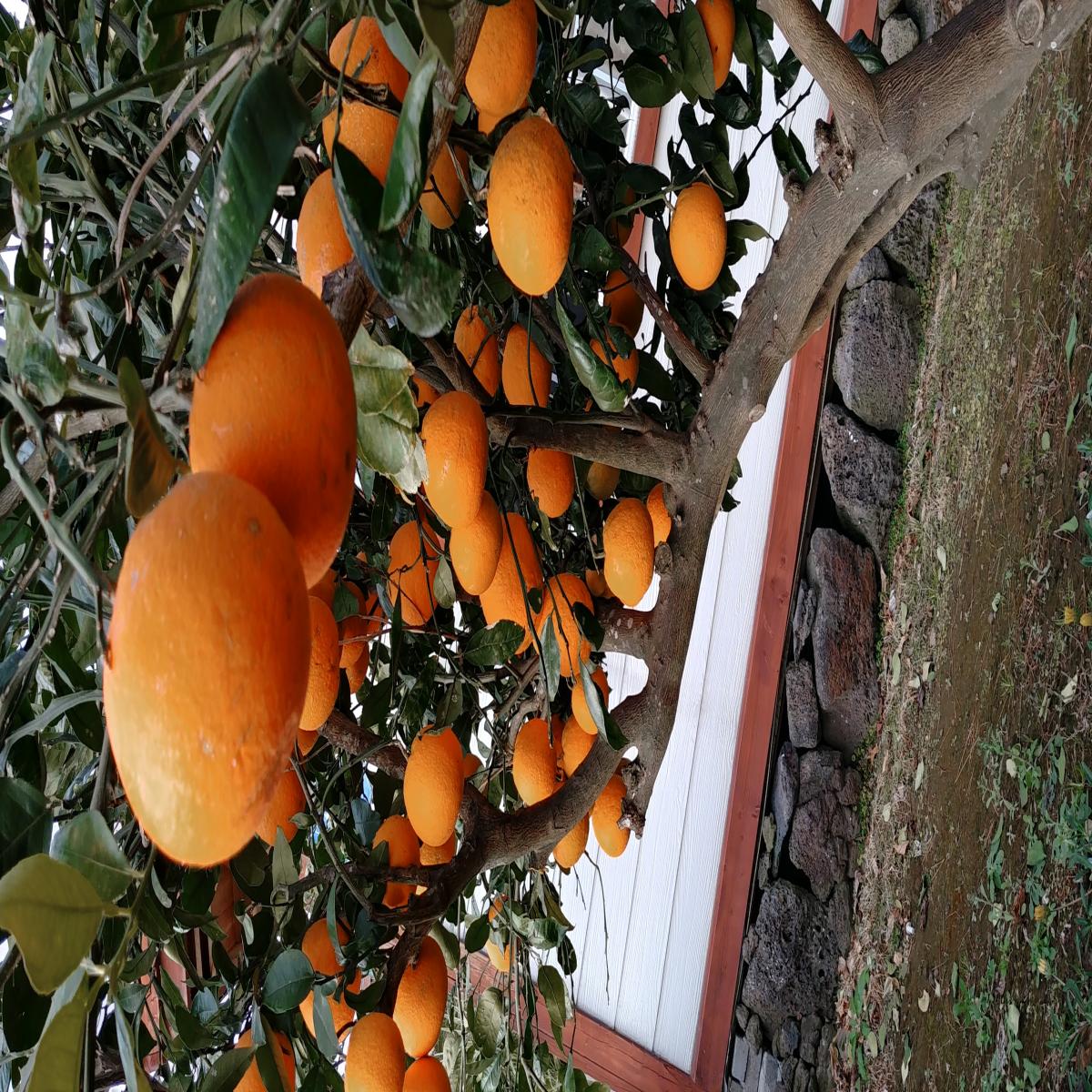 숙박