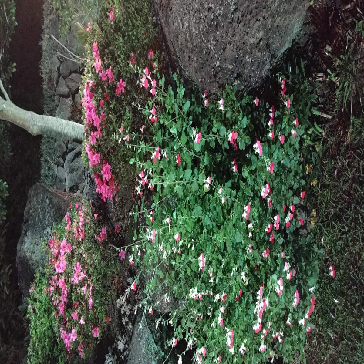 숙박