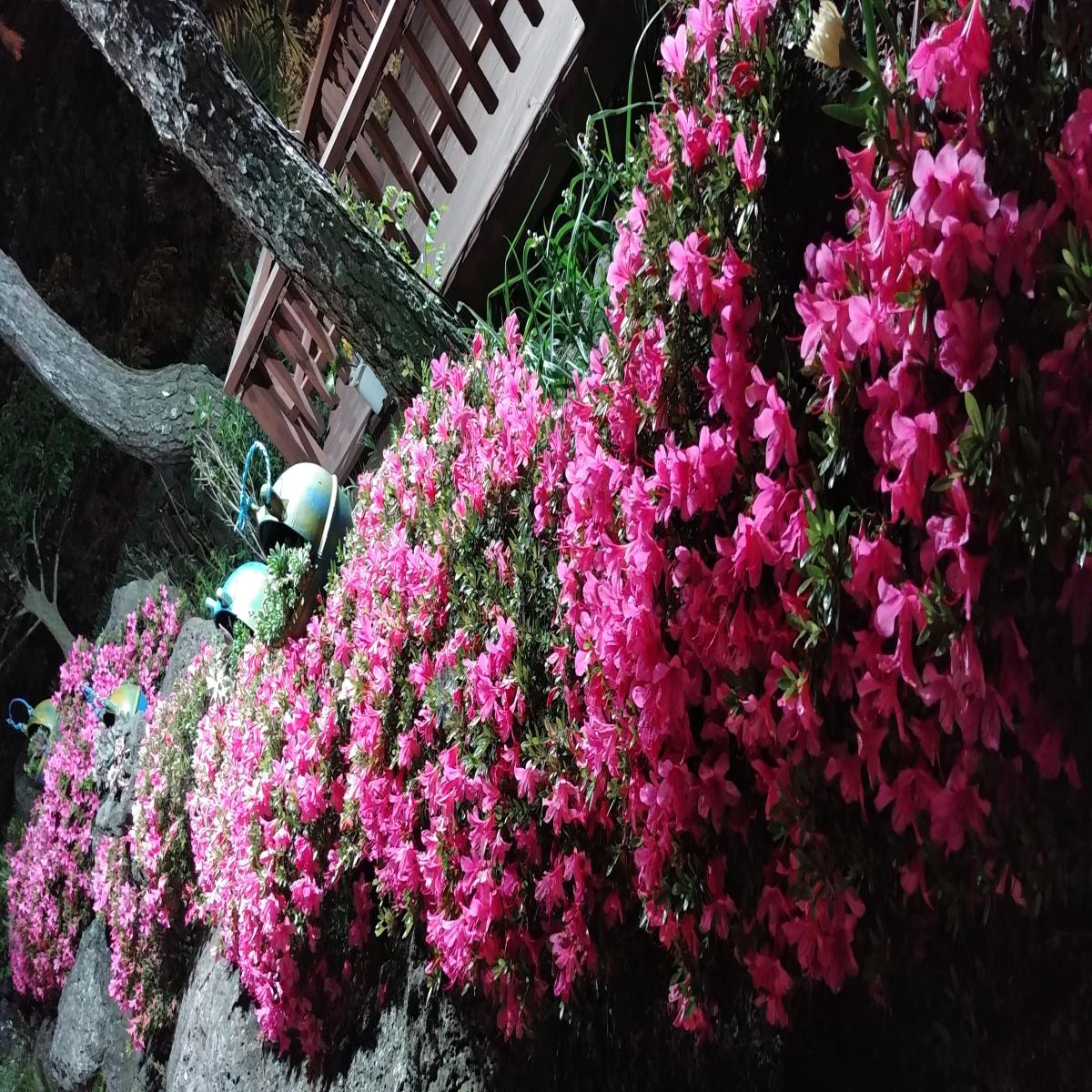 숙박