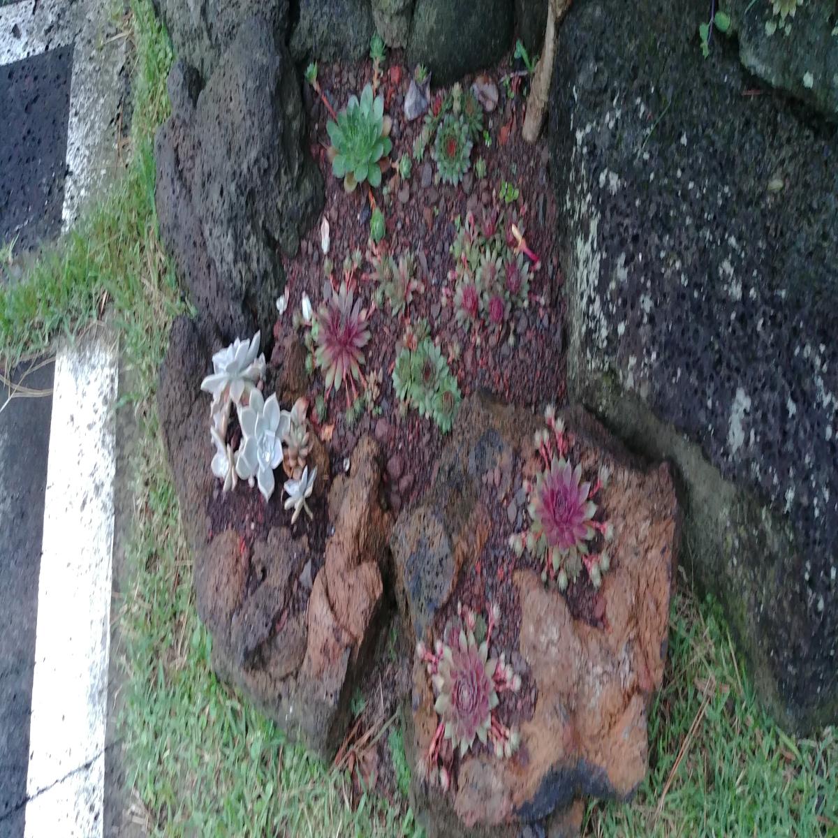 숙박