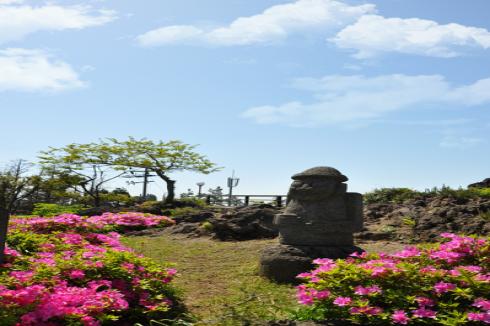 숙박