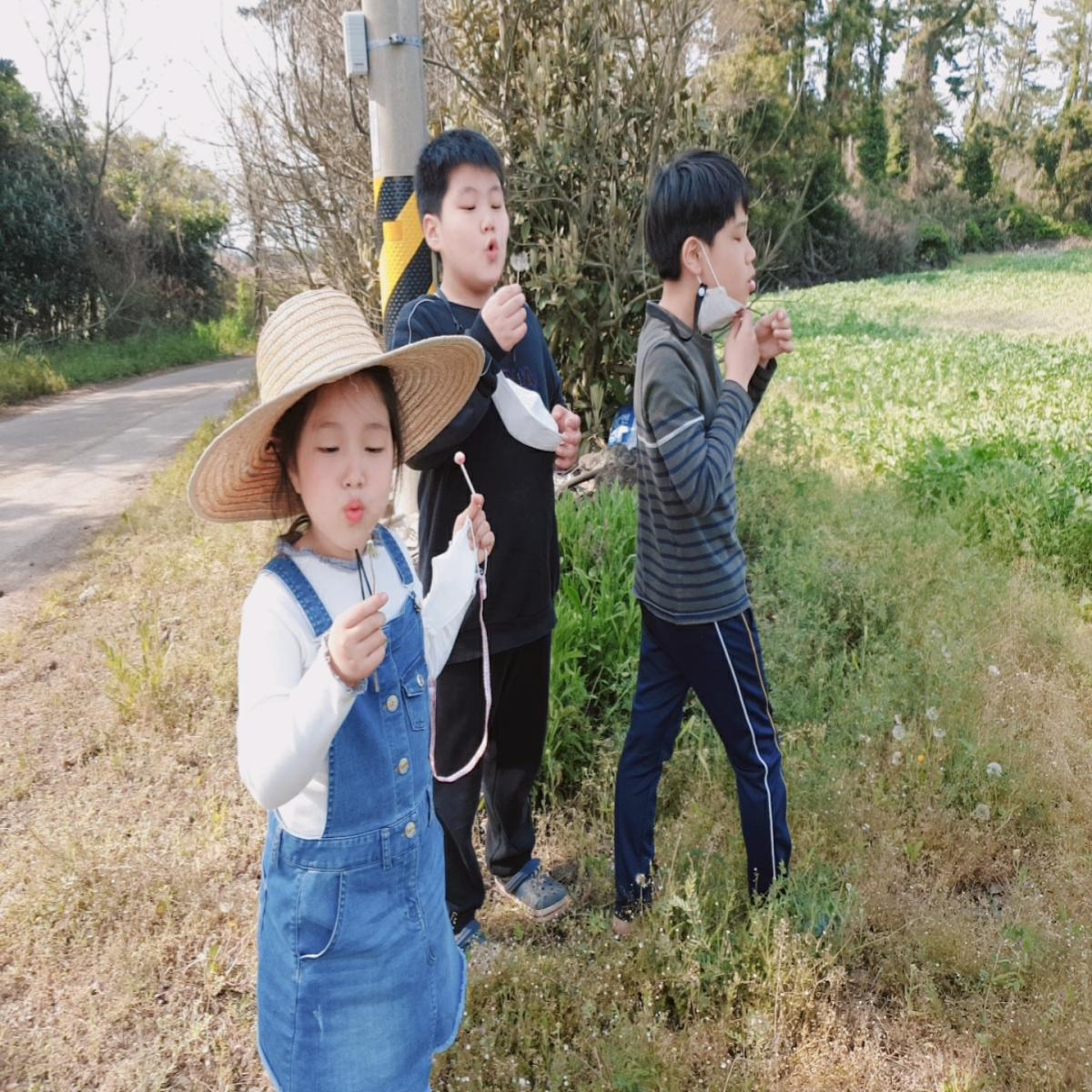 오름 민박_46