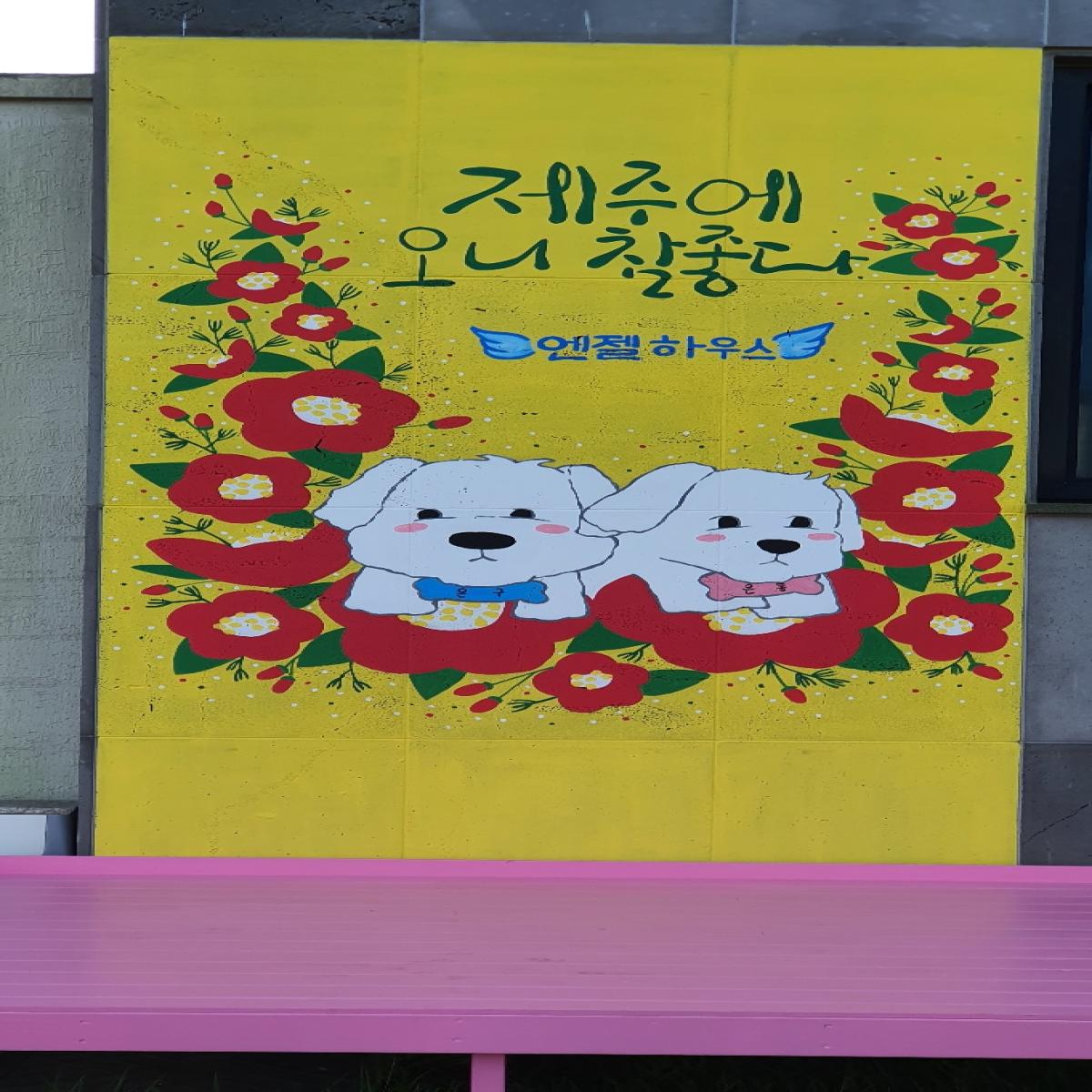 엔젤하우스_15