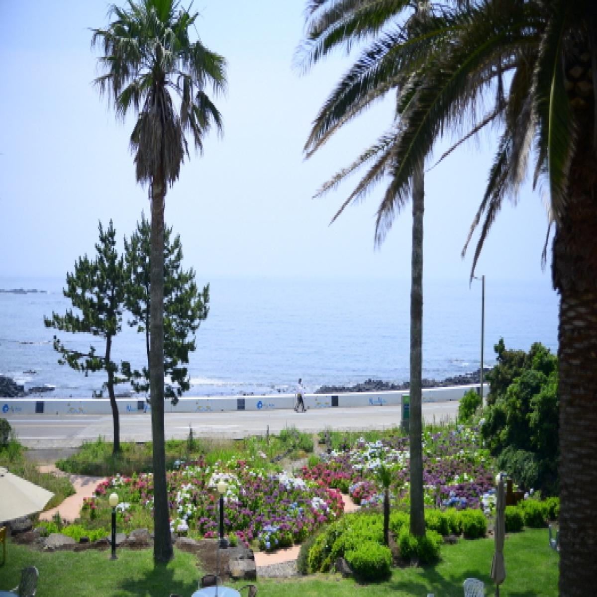 숙박5