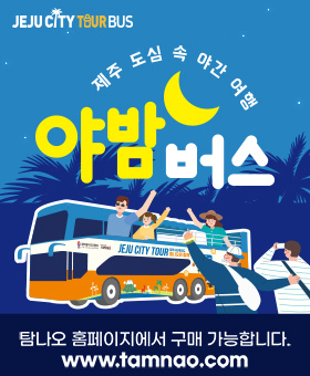 제주시티투어 야밤버스