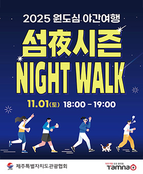 섬야 나이트워크