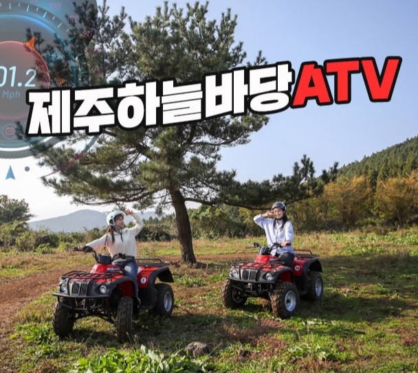 판매처
