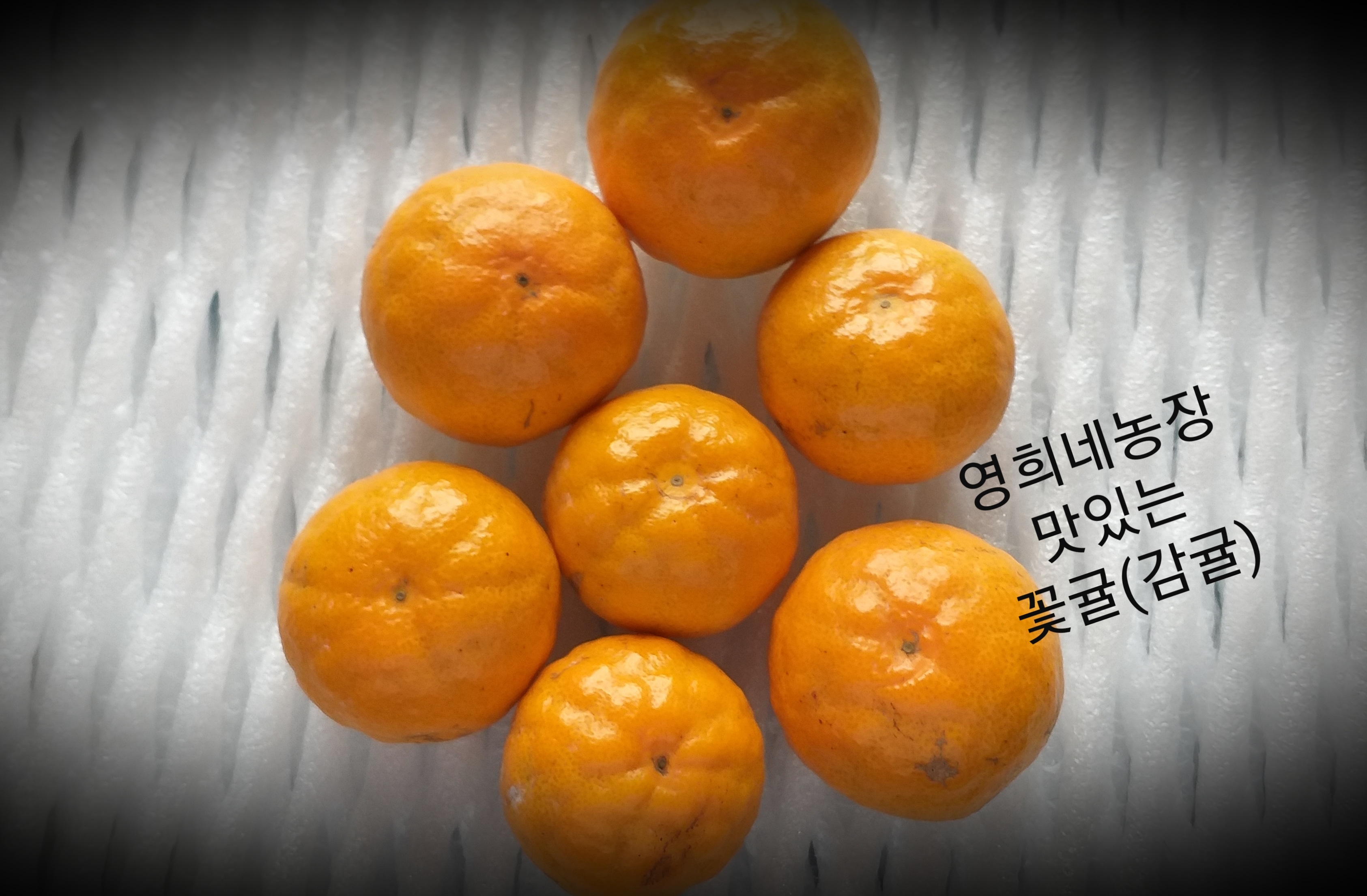 영희네농장꽃귤