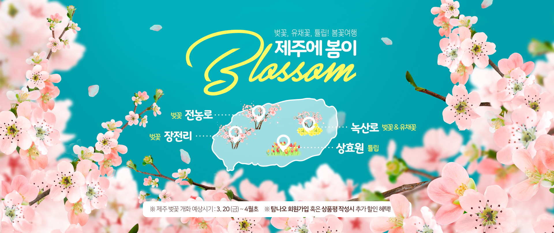 제주 봄꽃여행