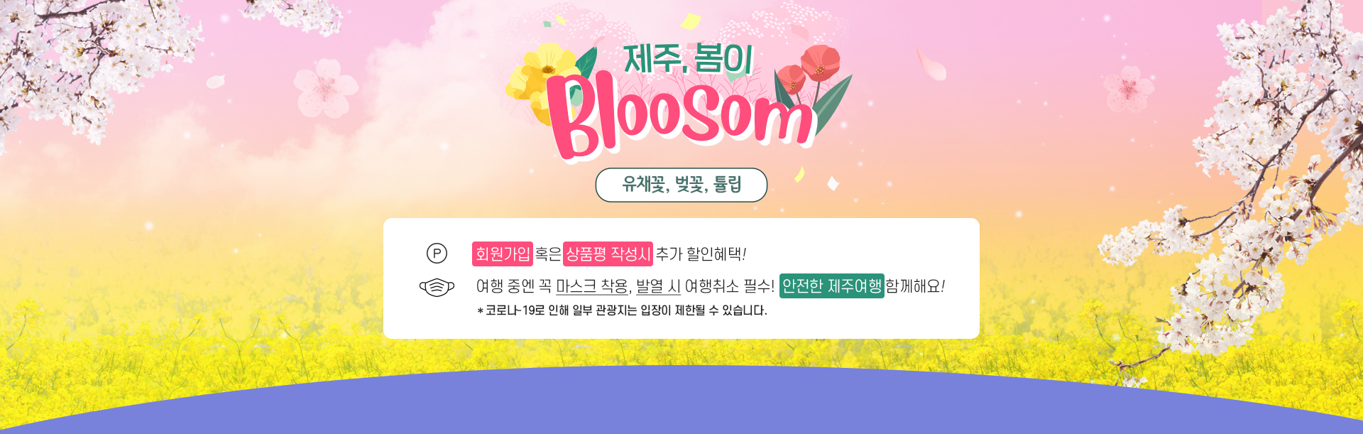 제주 봄꽃여행 추천