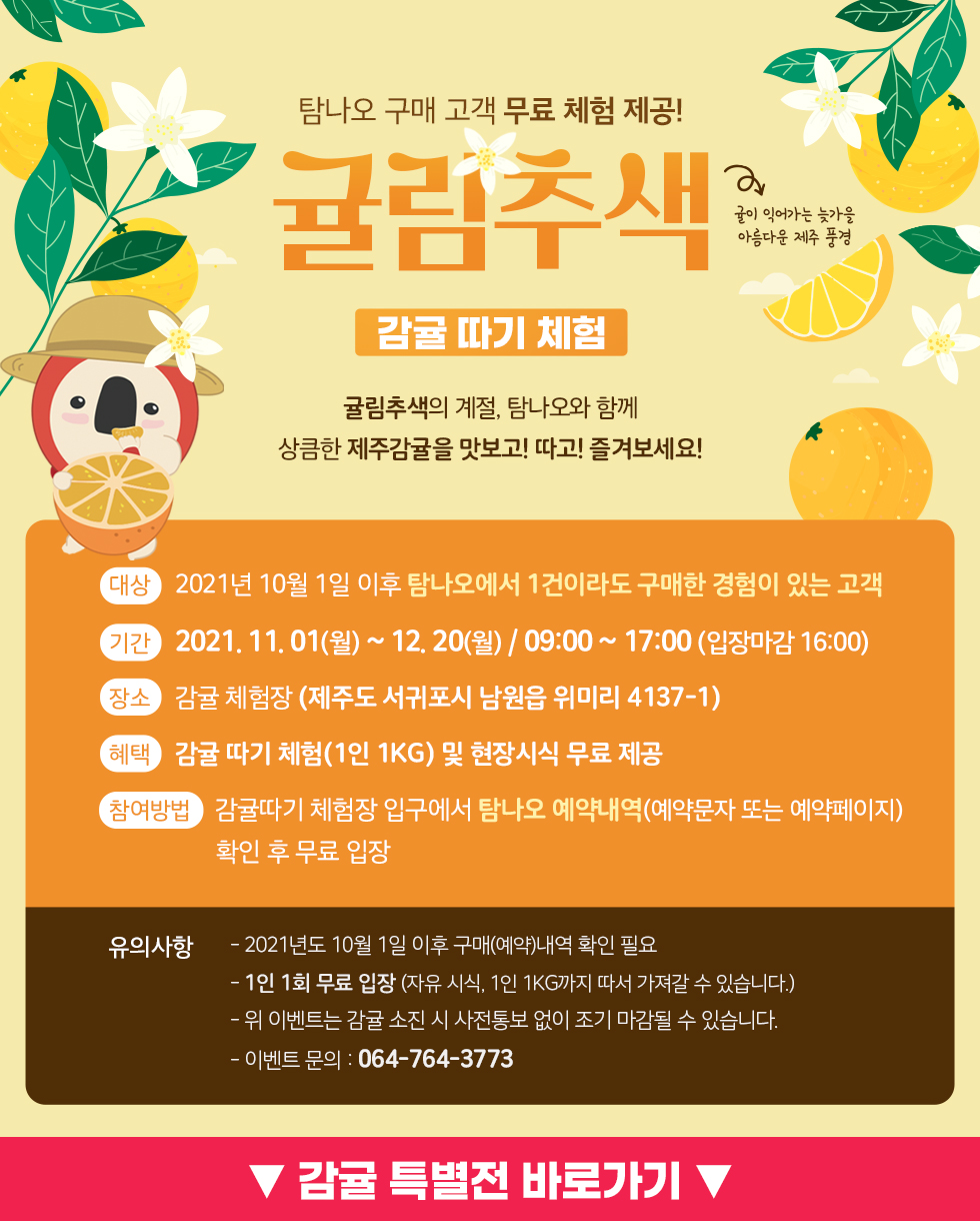 귤림추색 : 감귤 따기 체험 이벤트