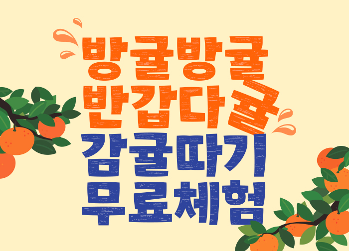 감귤따기무료체험이벤트