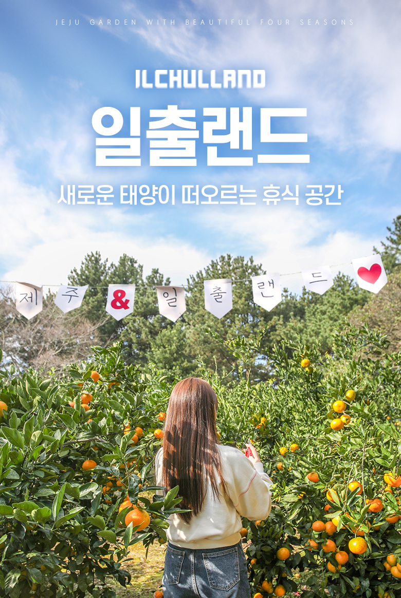 상품설명