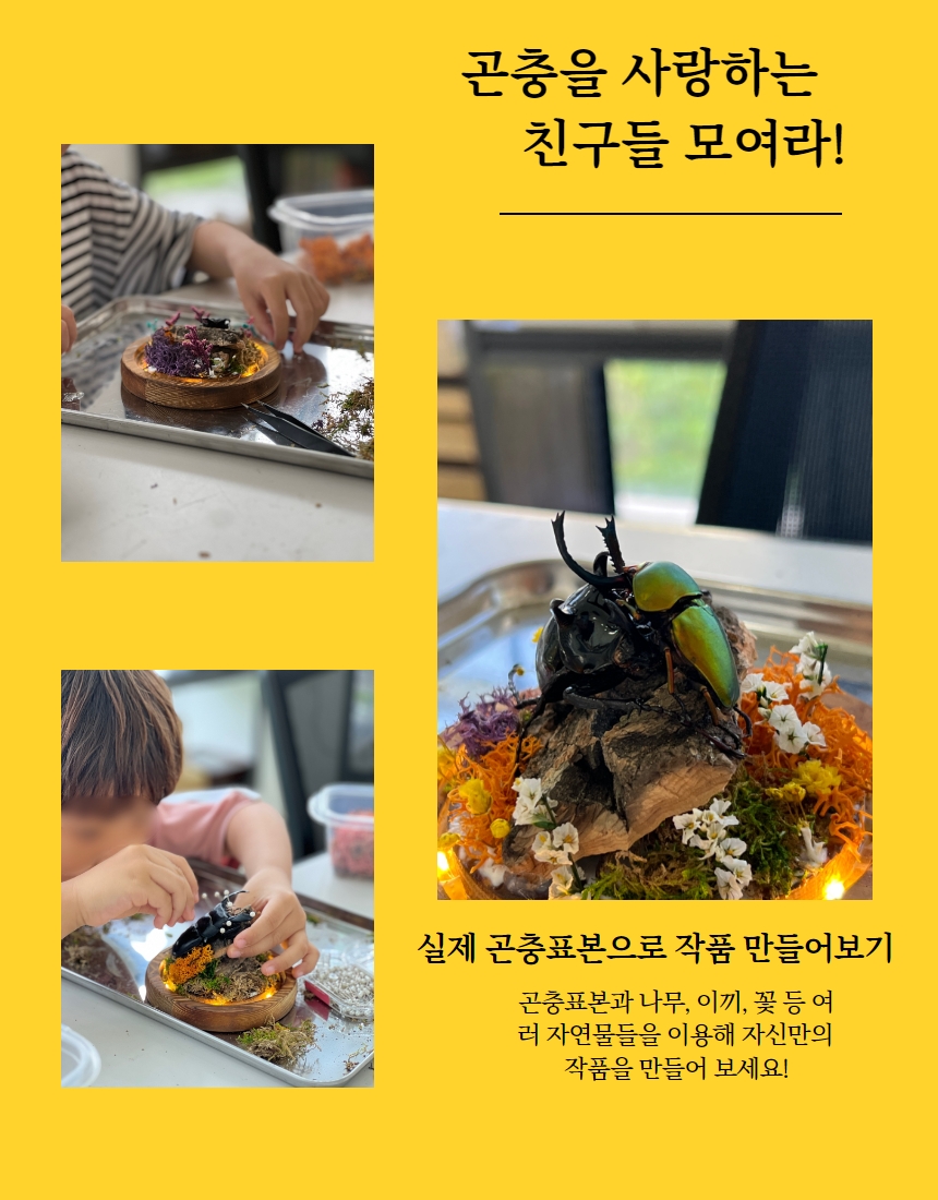 상품설명