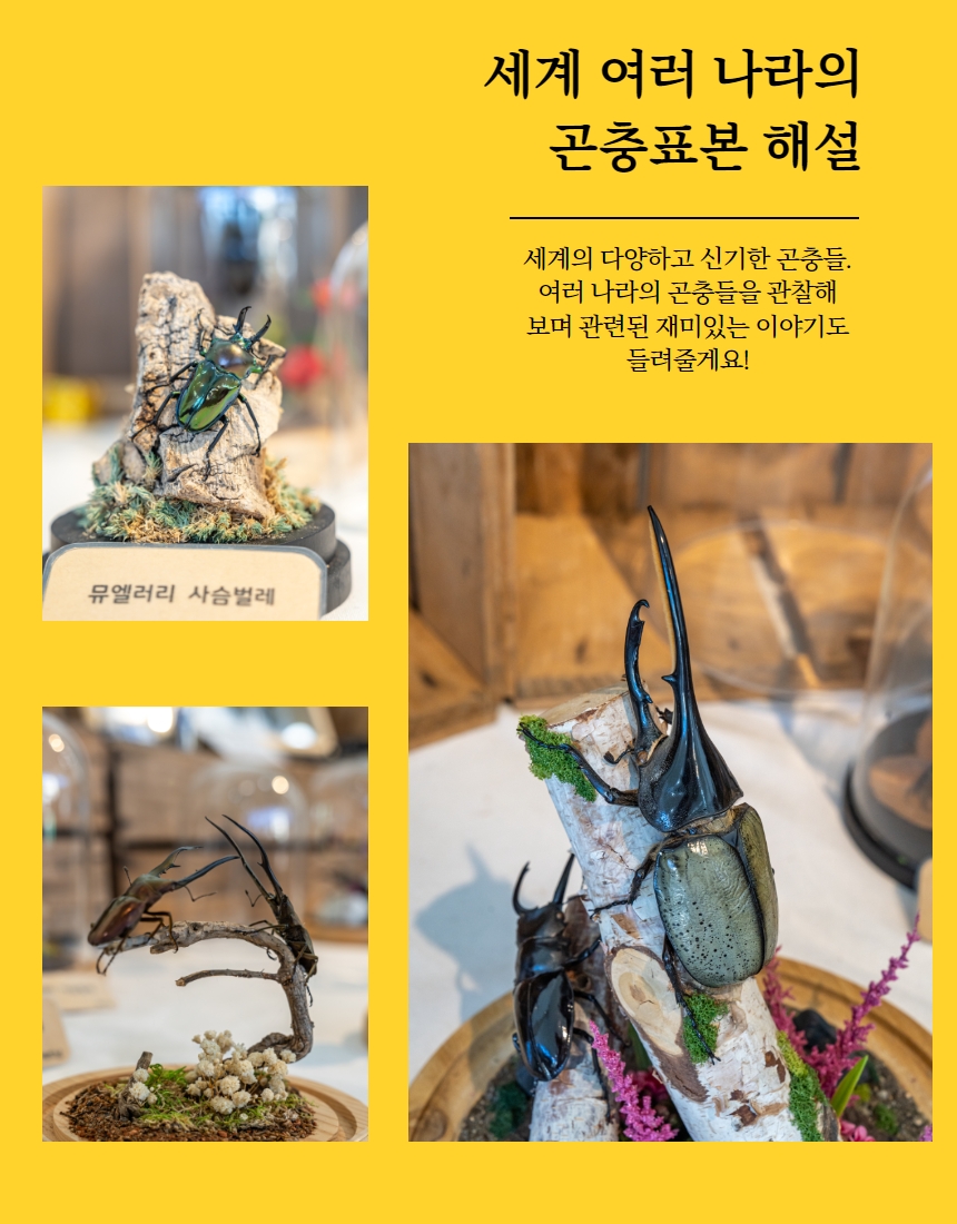 상품설명