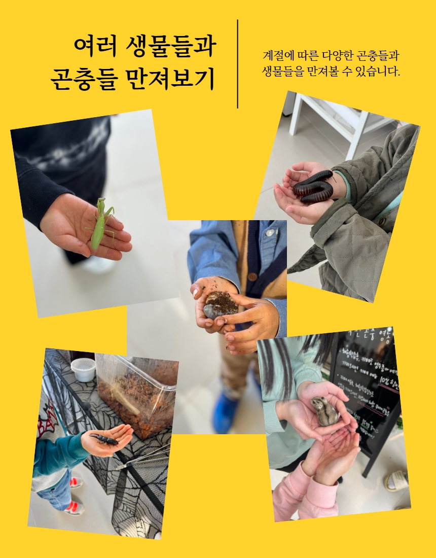 상품설명