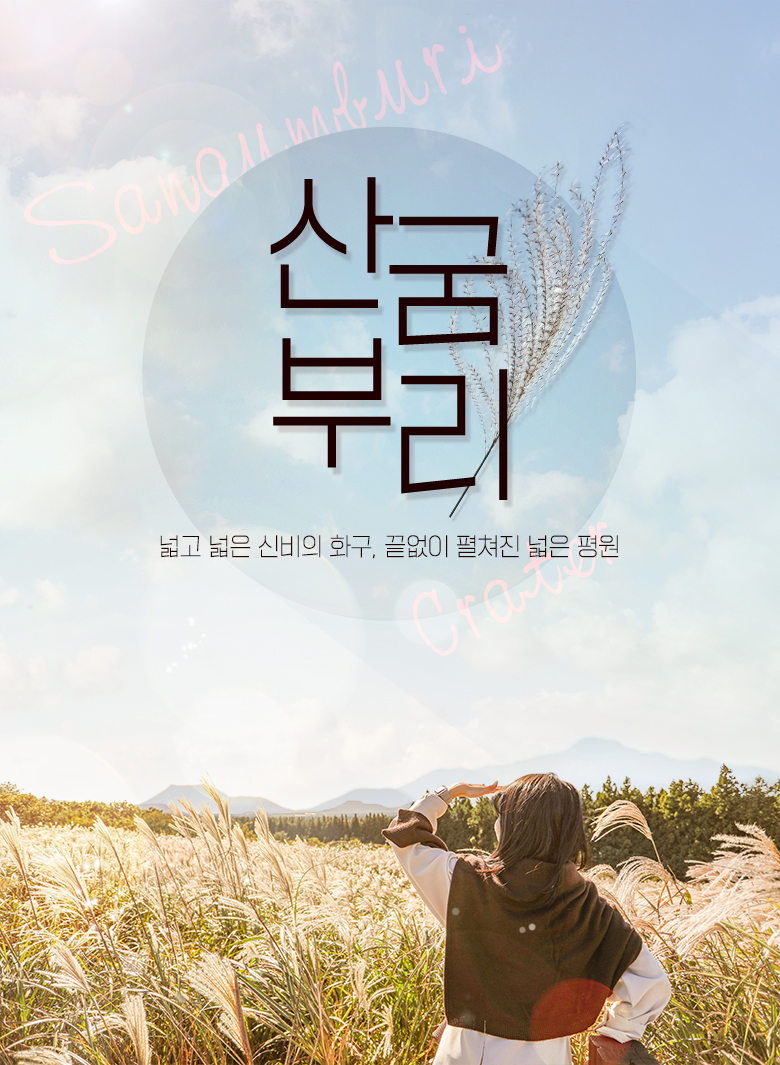 상품설명