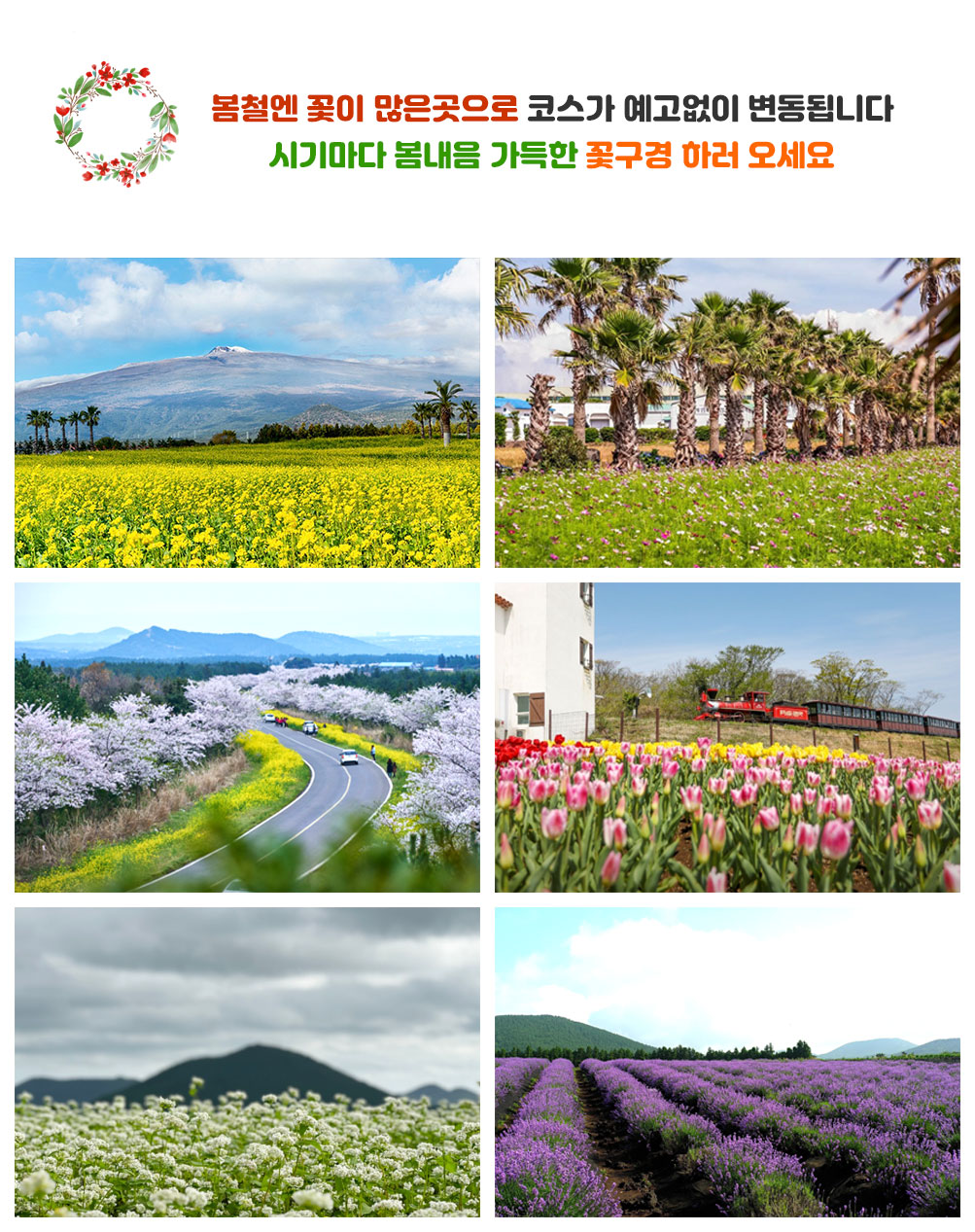 상품설명