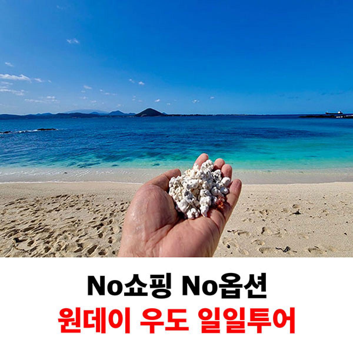 제주시티투어 원데이 패키지 일일 뚜벅이 우도감성투어
