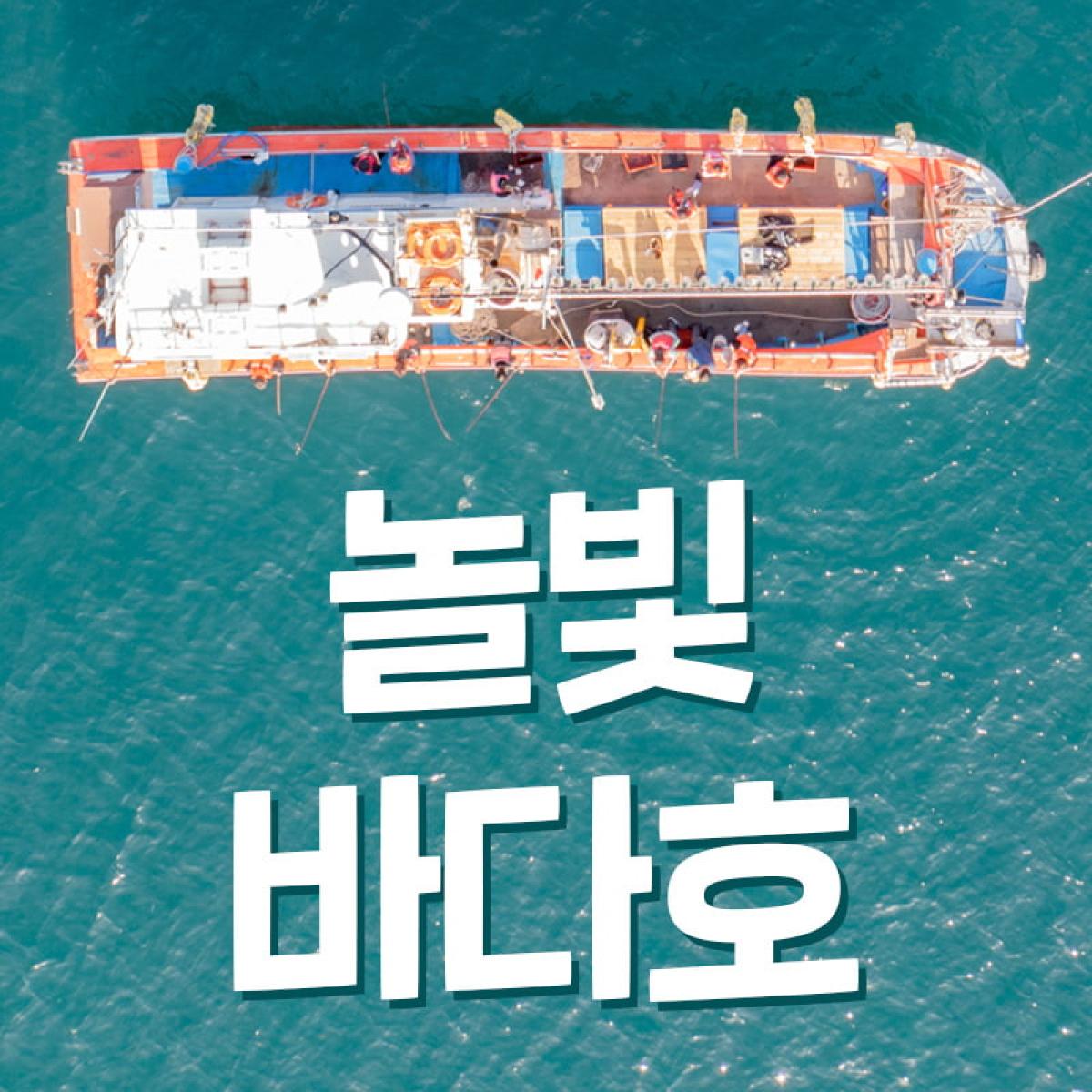 돌고래투어및 선상배낚시