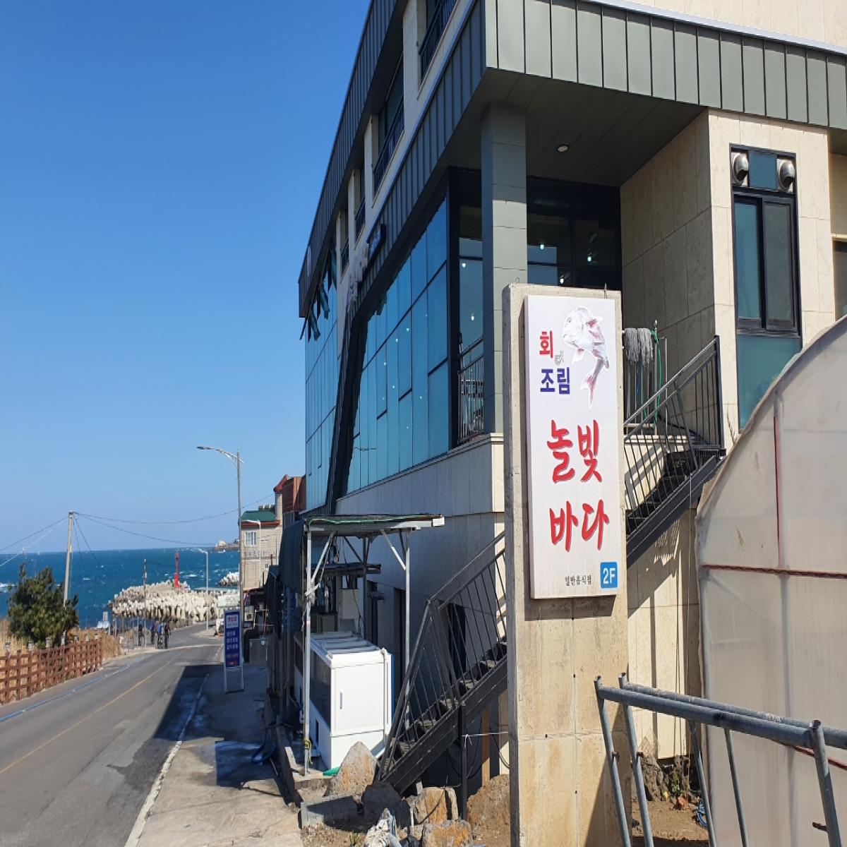 돌고래투어및 선상배낚시