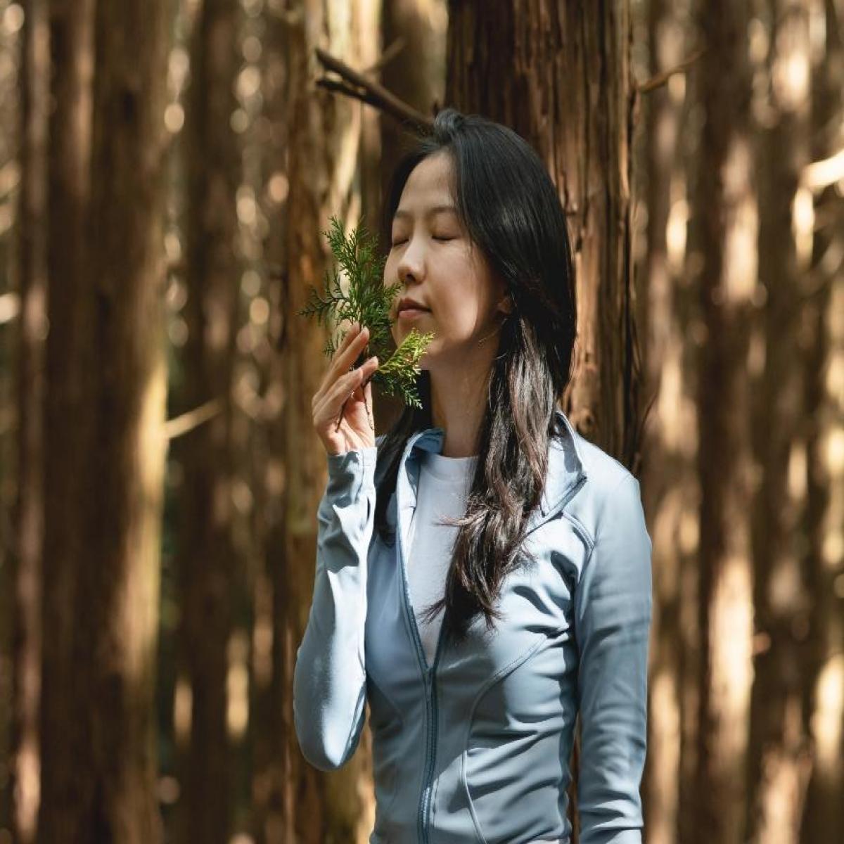 편백숲 치유 프로그램