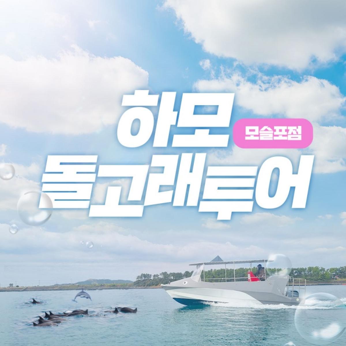 ★최저가★ 하모돌고래투어