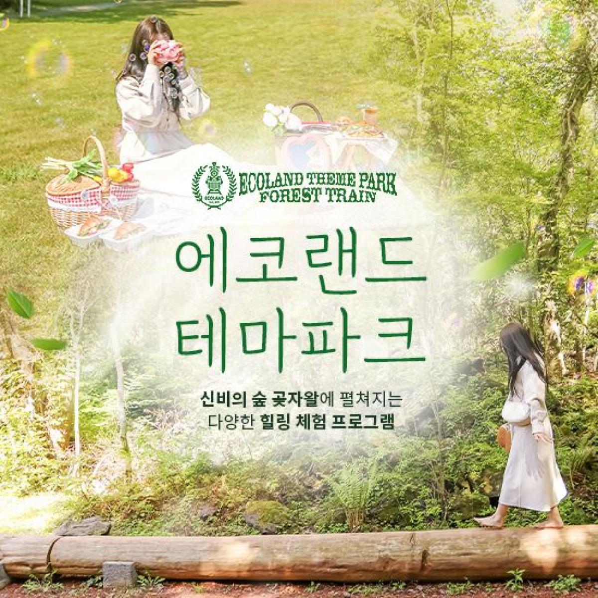 ★최저가★ 에코랜드