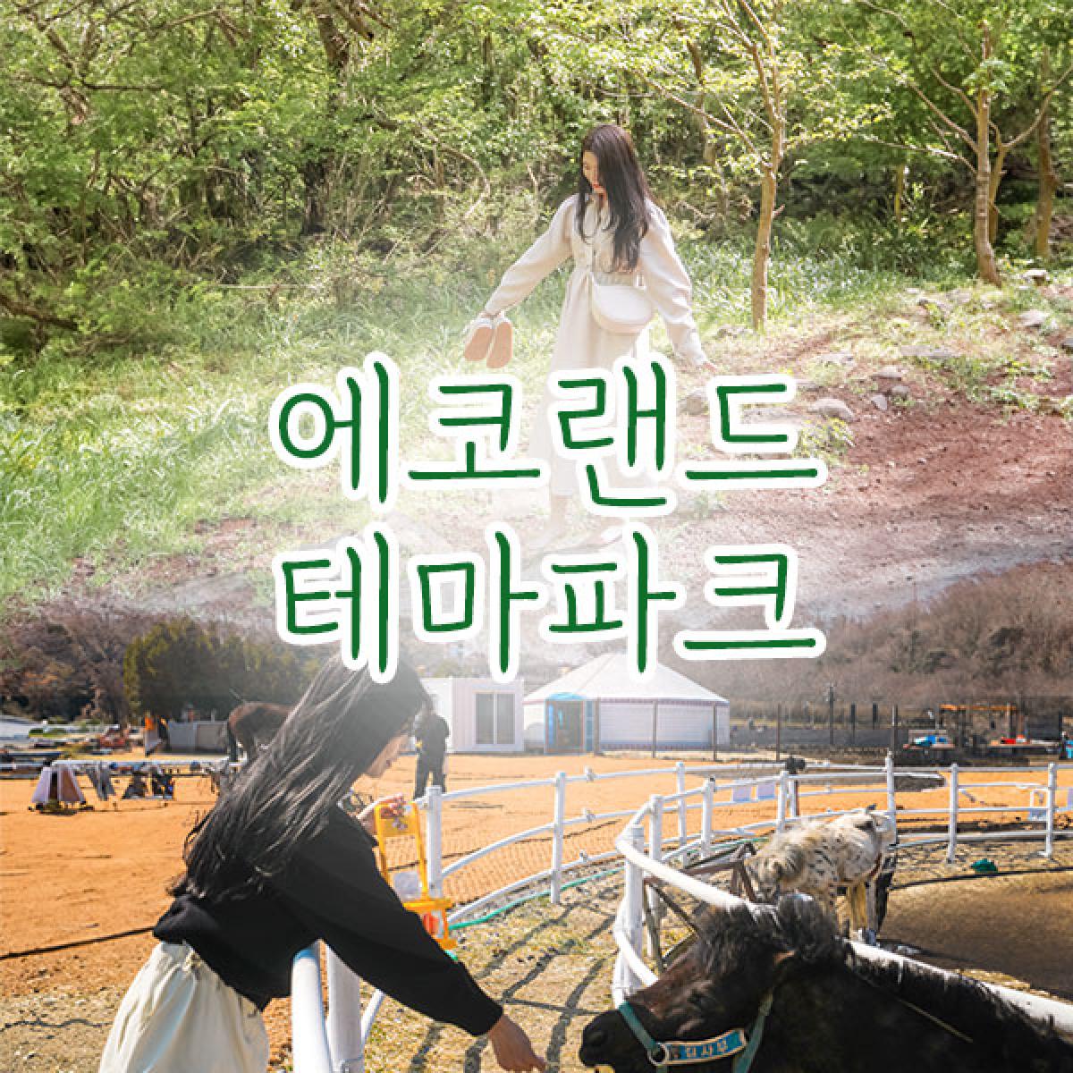 ★최저가★ 에코랜드