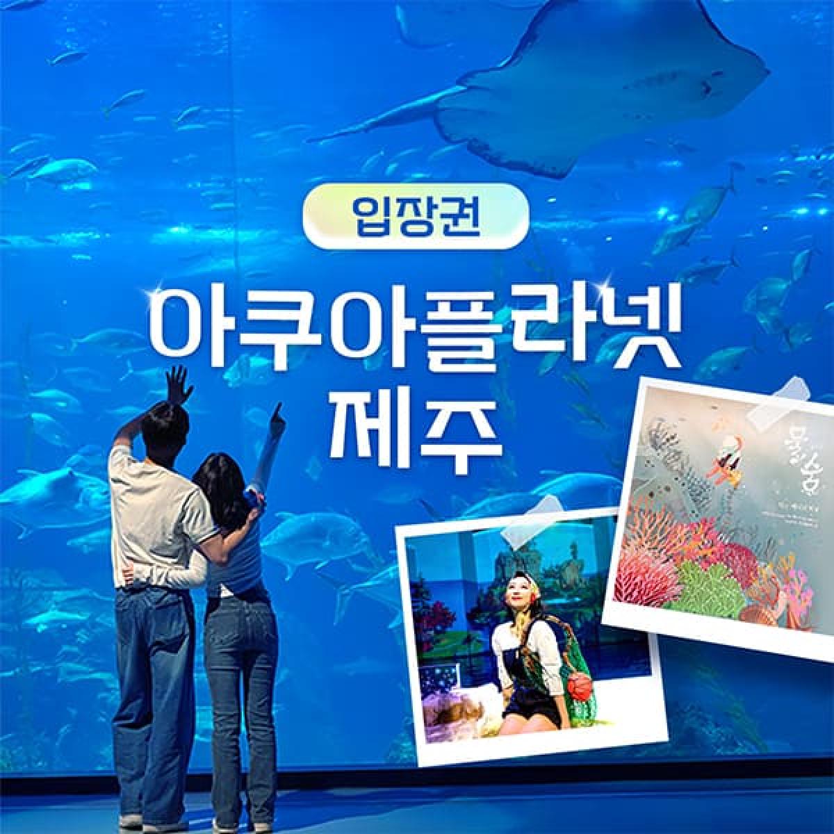 [제주] 아쿠아플라넷 제주 입장권 & 늦은오후권