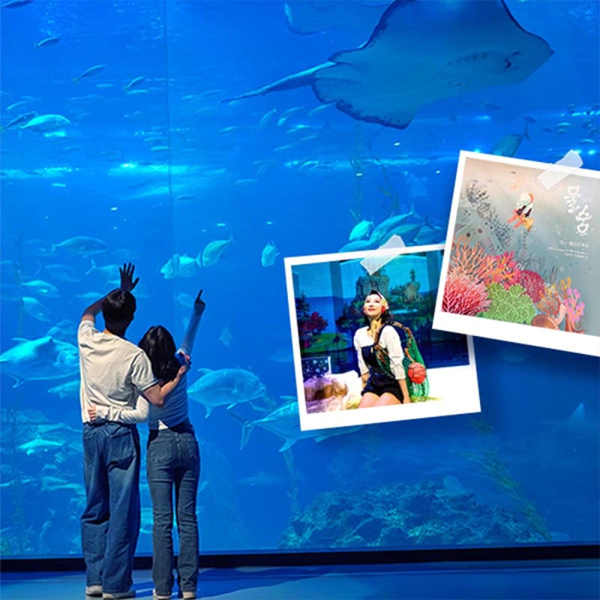 아쿠아플라넷 제주 입장권 & 늦은오후권 (25.12월)